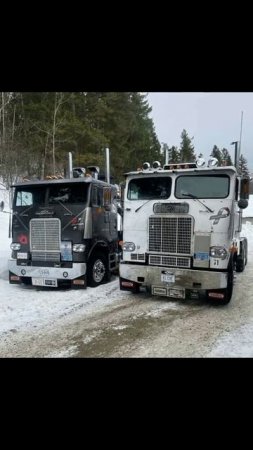 freightliner truck#trucksofinstagram#trucksofamerica#semitrucksofamerica#oldschooltruckingphotos#goo