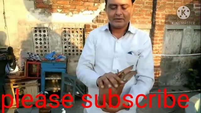 Kitne pyare kabootar Hain смотреть онлайн