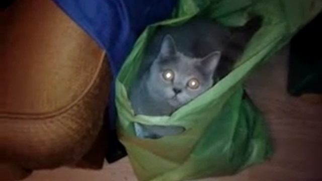 Порш в мешке смотреть онлайн