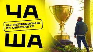 Обрезка деревьев чашей: принцип правильной формировки плодовых деревьев