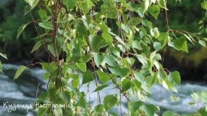 29 мая Федоров День. Что нельзя делать 29 мая Федоров День. Народные приметы и традиции Дня.