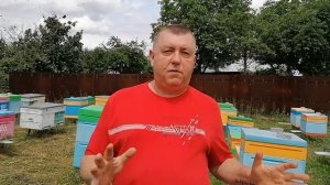 Горный облётник