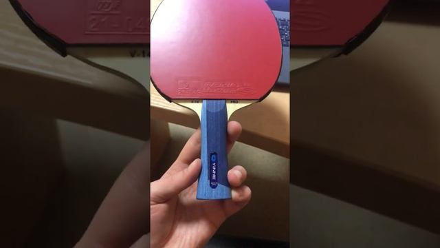 Donic Bluestorm Z1 с двух сторон, на основании Yinhe V-14 Pro ALC сборка ракетки🔥
