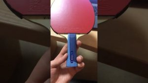 Donic Bluestorm Z1 с двух сторон, на основании Yinhe V-14 Pro ALC сборка ракетки🔥