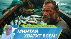 Российские рыбаки установили рекорд по вылову минтая. Как это отразится на ценах?