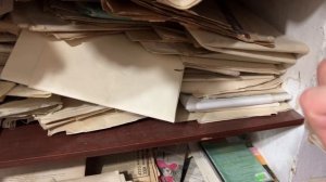 Тбилиси. Сололаки. Улица Дадиани, 4. Кот- официальный сотрудник букинистического магазина!