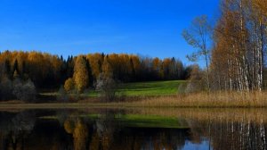 Природа севера осень