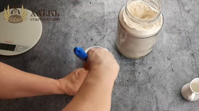 Пшеничная закваска 1 день