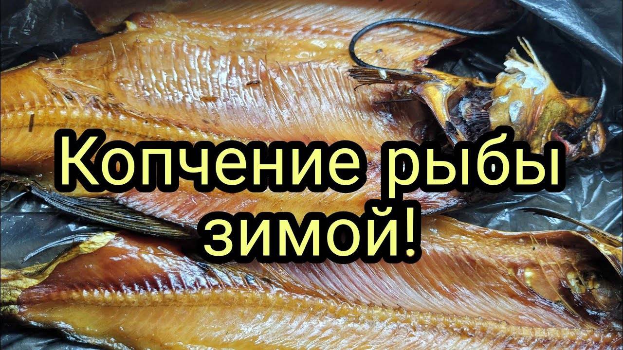 Копчение рыбы в бочке зимой. смотреть онлайн