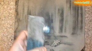 Выравнивание Чарли Фореста (Charnley Forest)