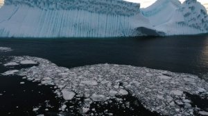 8318617-uhd_2560_1440_25fps