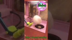 Сладкая вата, Новинка 2019, вендинг аппарат, как начать бизнес