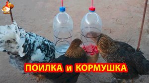 Поилка и кормушка на веревке из 2 л бутылок с треугольными прорезями 🪚🪛🔨
