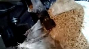 Самодельный зерновой экструдер.