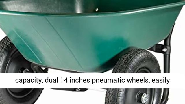 Green Thumb 70008 2 Wheel Poly Wheelbarrow - Overview