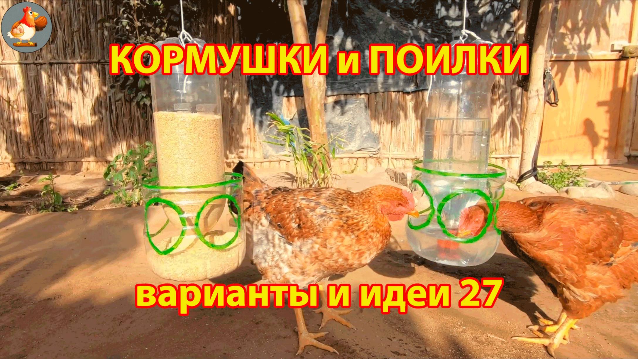 Кормушки и поилки для кур своими руками 27 🪚🪛 Пошаговая инструкция как сделать 🐔 🐓❣️