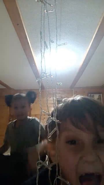 Мур-мур котики коты смотреть онлайн