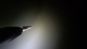 подводная охота на толстолоба зимой. январь 2022. охота с пеленгас варвар 70