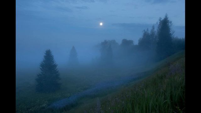 "Не хочу твоей любви задаром" Авторская песня. смотреть онлайн