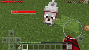 Драки собак в майнкрафте