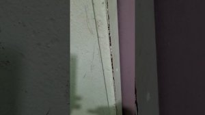 четв. 23.01.2025 17:20 Выход и приход соседей-наркоманов в моё время. Бесцельный заход в подъезд.