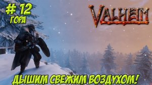 Valheim. Кооп? Часть 12. Гора. Дышим свежим воздухом!