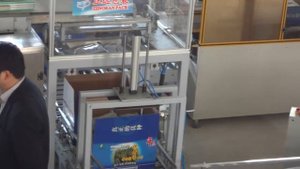 Автоматическая линия фасовки и упаковки сыпучих продуктов с укладкой в гофрокороб