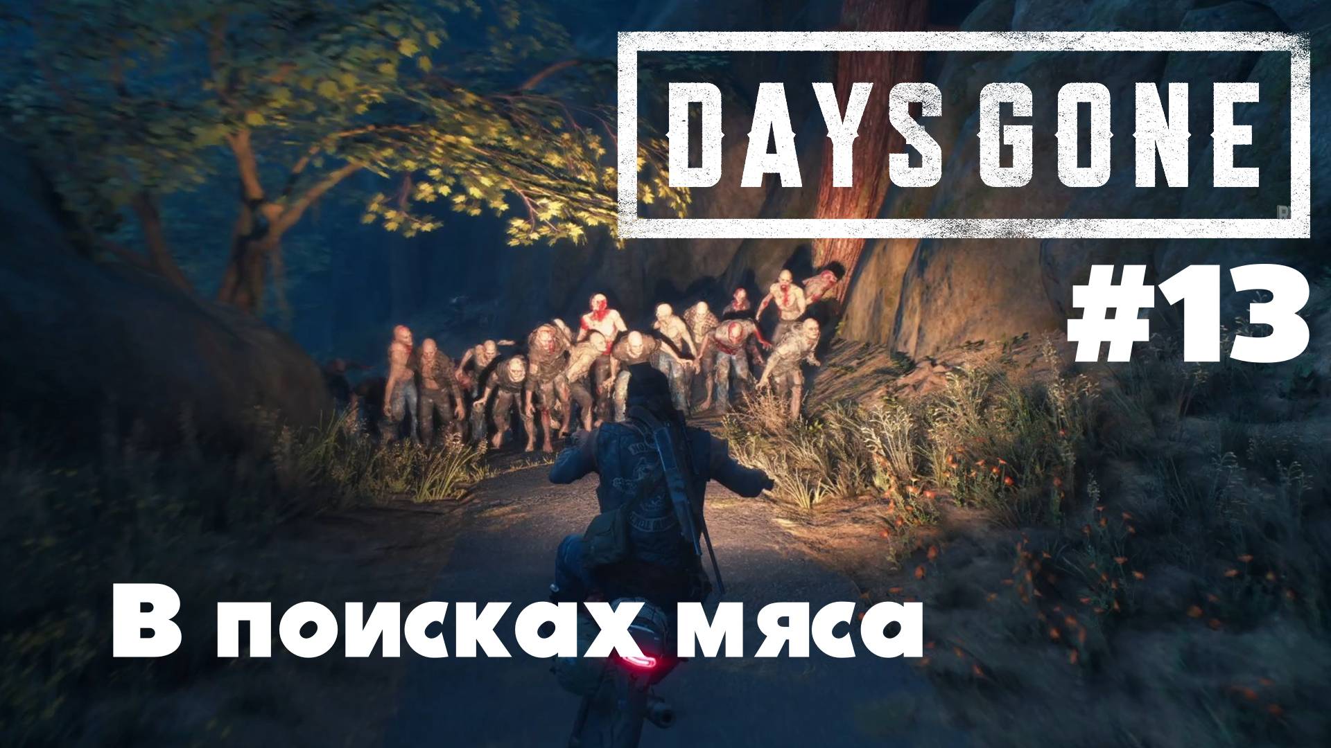Days Gone: В поисках мяса #13