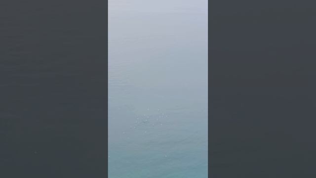 Анапа 23.01.2025 1 часть