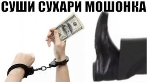 ✅ Суши сухари мошонка / мошенники звонят по телефону