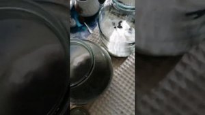 Компот из черешни.