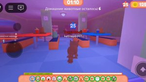 побег питомца