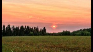 О  Баженова  Не бойся, я тебя найду #лириканародакоми#поэтынародовроссии#стихиолюбви