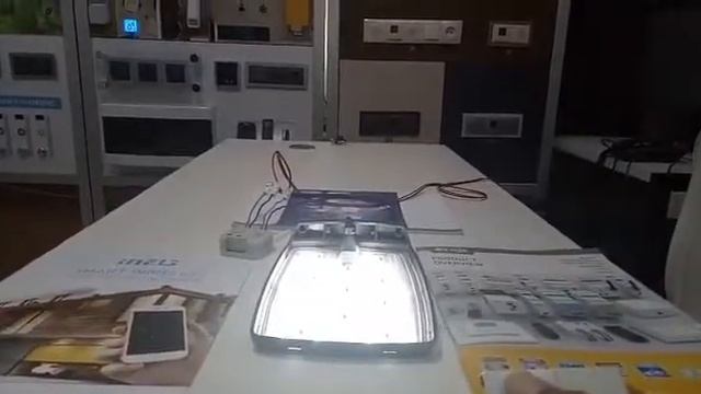 Demonstration of Street Light Control through Wireless Systems | ElkoEP India