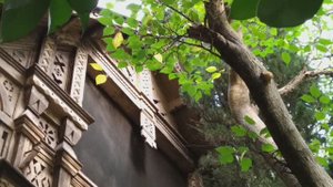 Одна из самых красивых улиц Ялты: улица Екатерининская