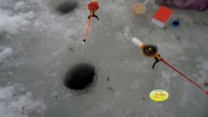 Мастер-класс по ловле муксуна