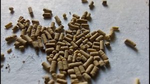 Конфетный Хорус. Где оригинал?