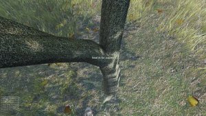 Dayz - Где брать еду (Гайд для новичков)
