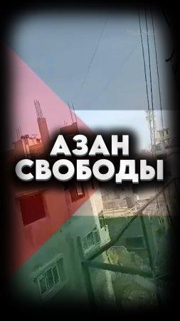 ЖИЗНЬ ВОЗВРАЩАЕТСЯ В ГАЗУ #мирадио