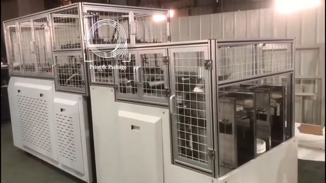 Двухпоточная пневматическая машина для производства одноразовых тарелок смотреть онлайн