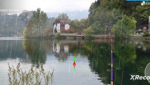 Как поймать косатку скрипун в игре My Fishing World
