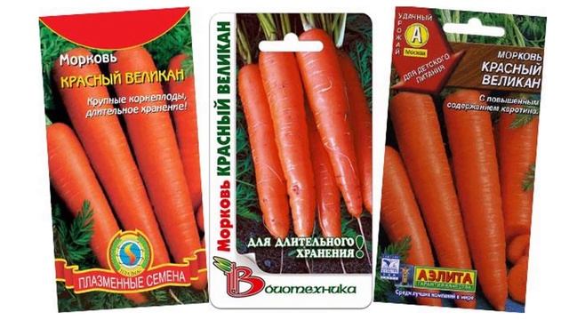 Характеристики и описание моркови сорта Красный великан смотреть онлайн