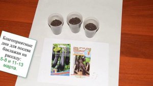 Оптимальные сроки посева баклажанов на рассаду по лунному календарю в 2022 году