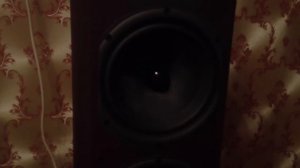 Wharfedale Diamond 9.5 (1).MOV