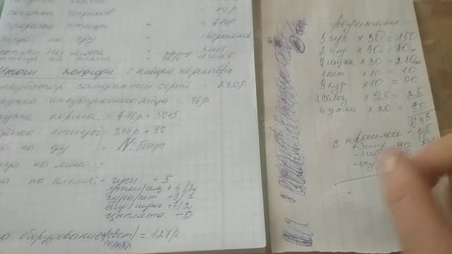 Подсчитали содержание птицы. Выгодно ли птицу содержать?