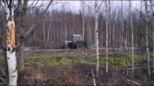 Вырубка березняка кусторезом