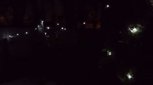 5 января 2024 г.