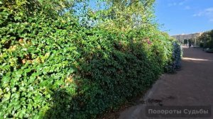 В трущебах будешь жить смеялся муж с любовницей в суде над бывшей но они не догадывались что жена..