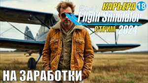 Microsoft Flight Simulator 2024  - На заработки