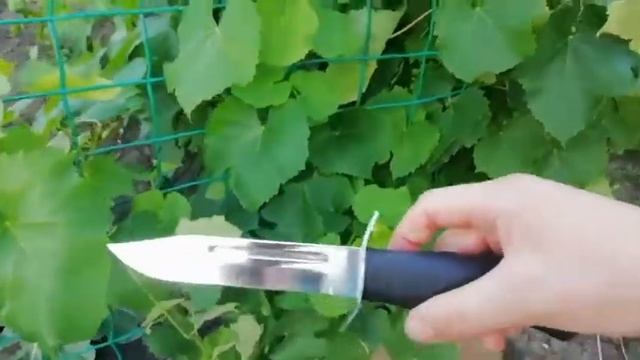 михаил суходеев ножи отзывы смотреть онлайн